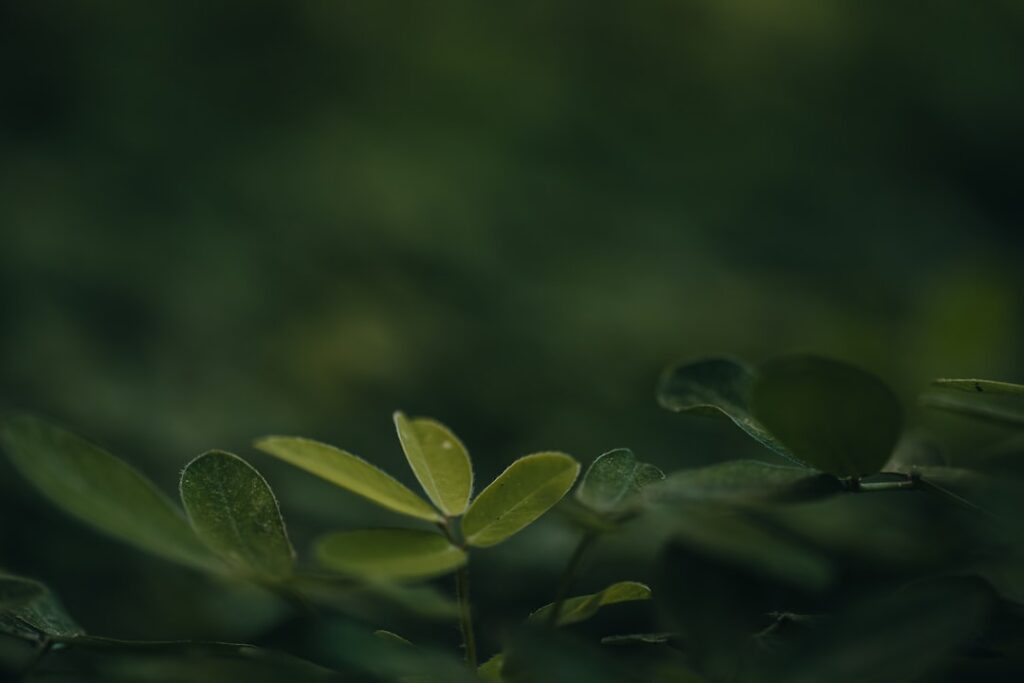 Jade Anna van Vliet: Jonge ster met een grote invloed