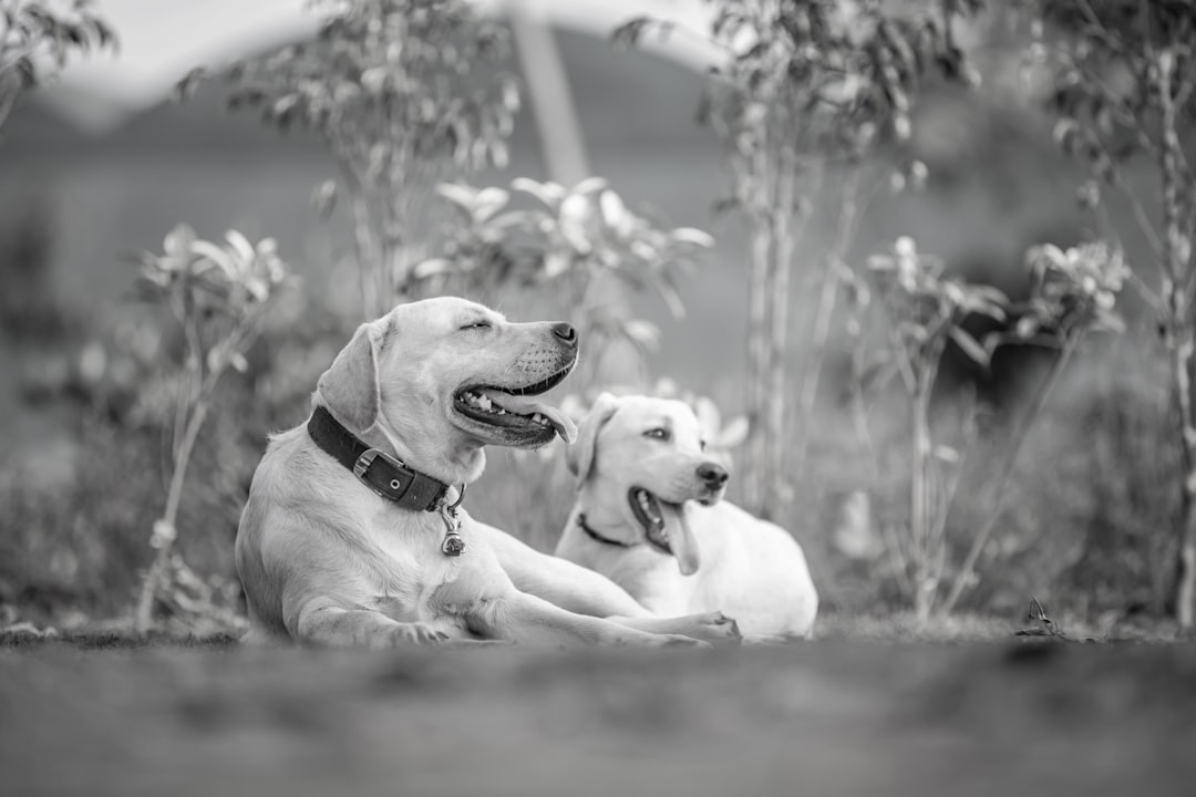Buddy Vedder en zijn liefdesleven: het verhaal achter zijn relatie